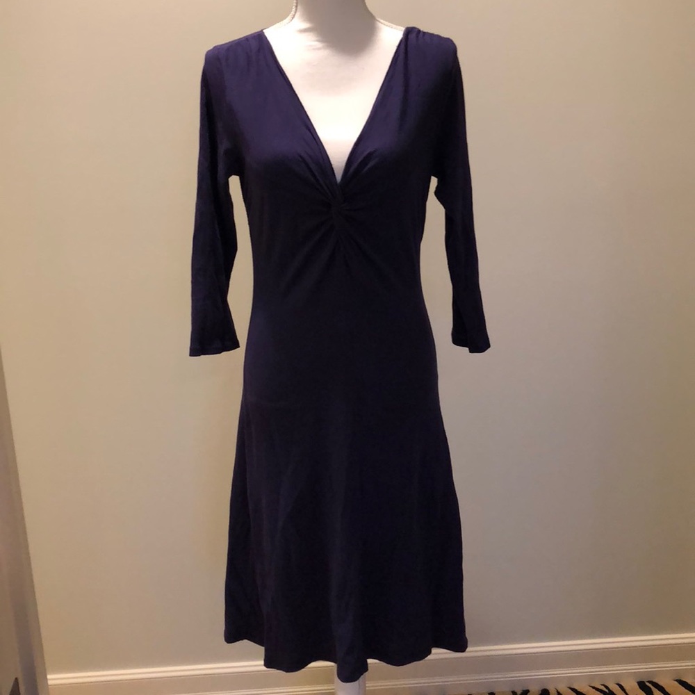 Velvet purple dress
